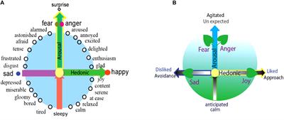 A Model for Basic Emotions Using Observations of Behavior in Drosophila